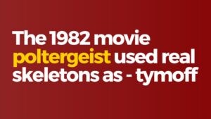 The 1982 movie poltergeist used real skeletons as - tymoff